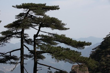 2011-4江西