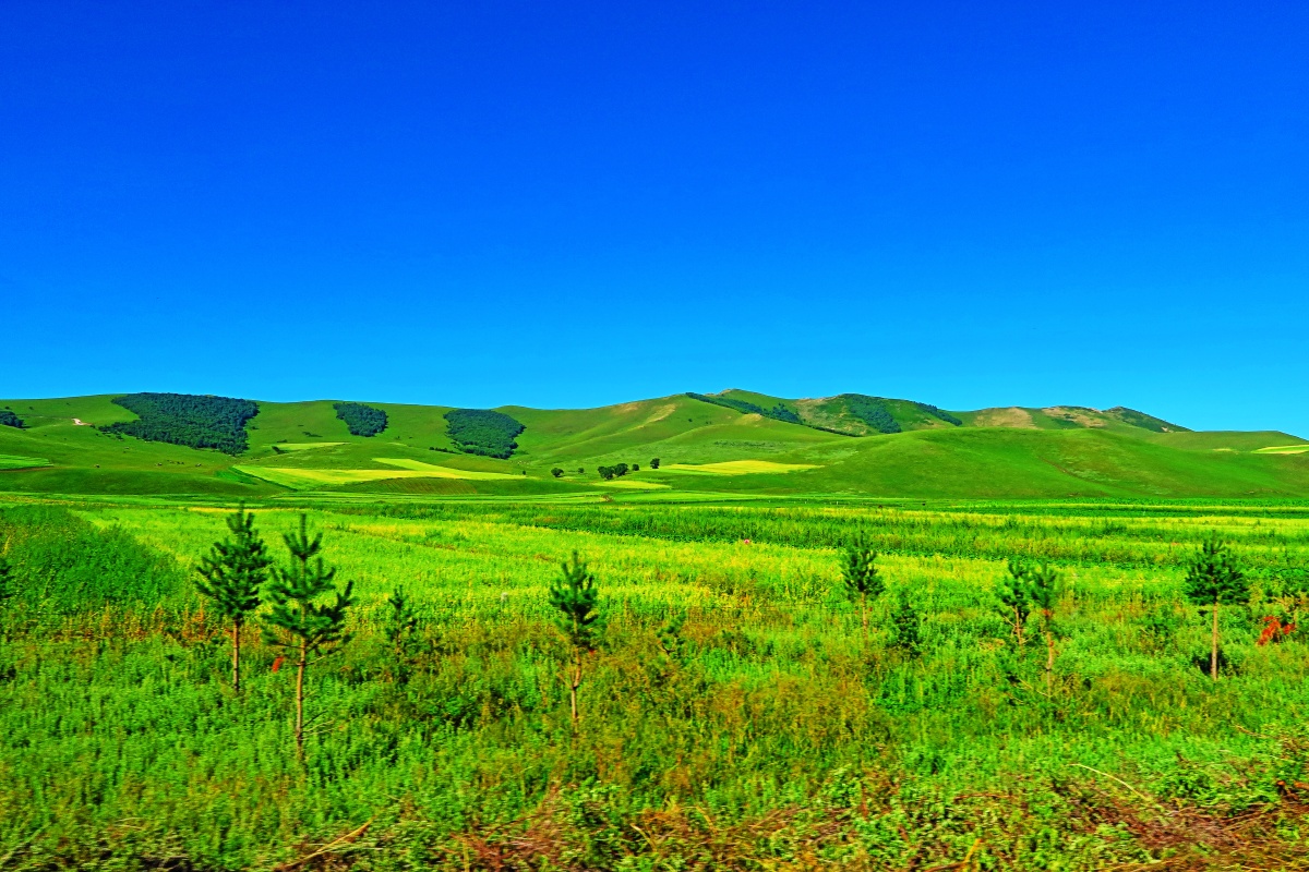 北京河北张家口张北野狐岭草原天路桦皮岭沽源县大滩坝上草原自驾游旅
