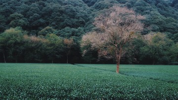 B74DF813-9D0C-4573-A9DB-D755E6CF953C/L0/001