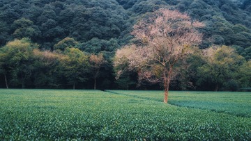 B74DF813-9D0C-4573-A9DB-D755E6CF953C/L0/001