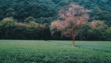 B74DF813-9D0C-4573-A9DB-D755E6CF953C/L0/001