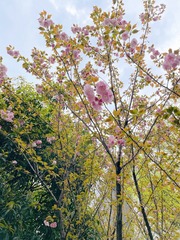 C03F998F-047B-4D70-B151-33FE2CF8F11B/L0/001
