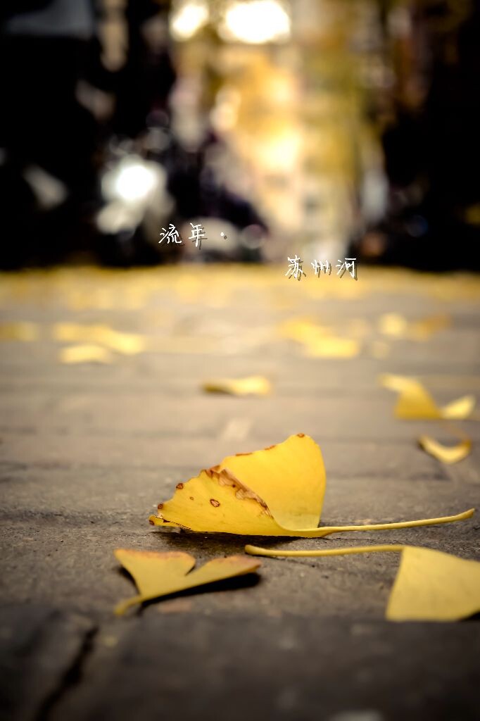 一点点、一片片，留下的不是萧瑟，而是流年