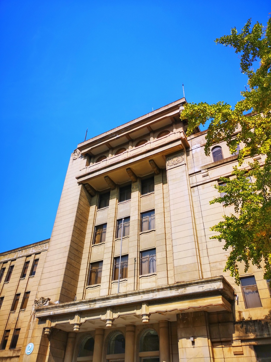 随拍西安人民大厦之银杏黄了