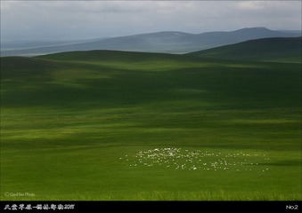 tt02_S4G7464_5_6_7_8s8.jpg