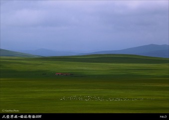 tt03_S4G7254_5_6_7_8s8.jpg
