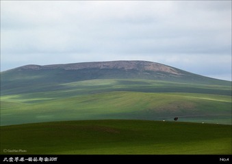 tt04_S4G7264_5_6_7_8s8.jpg