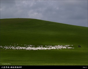 TT11_S4G7394H8s.jpg
