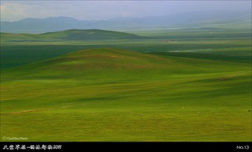 tt13_S4G7454_5_6_7_8s8.jpg