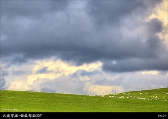 tt21_S4G7693_4_5_6_7s8.jpg