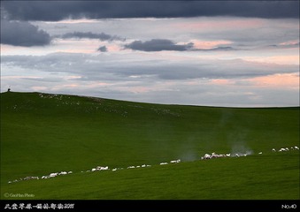 tt40_S4G8163_4_5_6_7s8.jpg