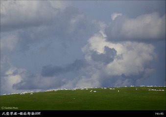 tt45_S4G0012_3_4_5_6s8.jpg