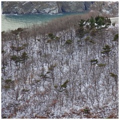 那片海18