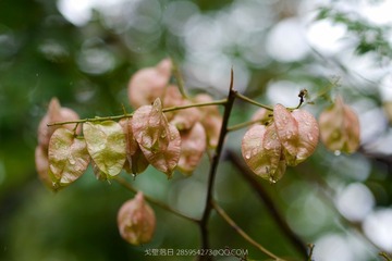 P1040042_1