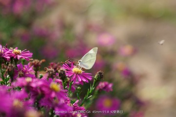P1050826_1