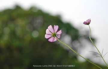 P1060053_1