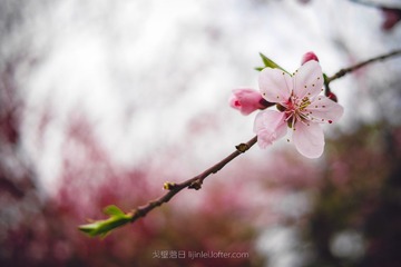 P1210029