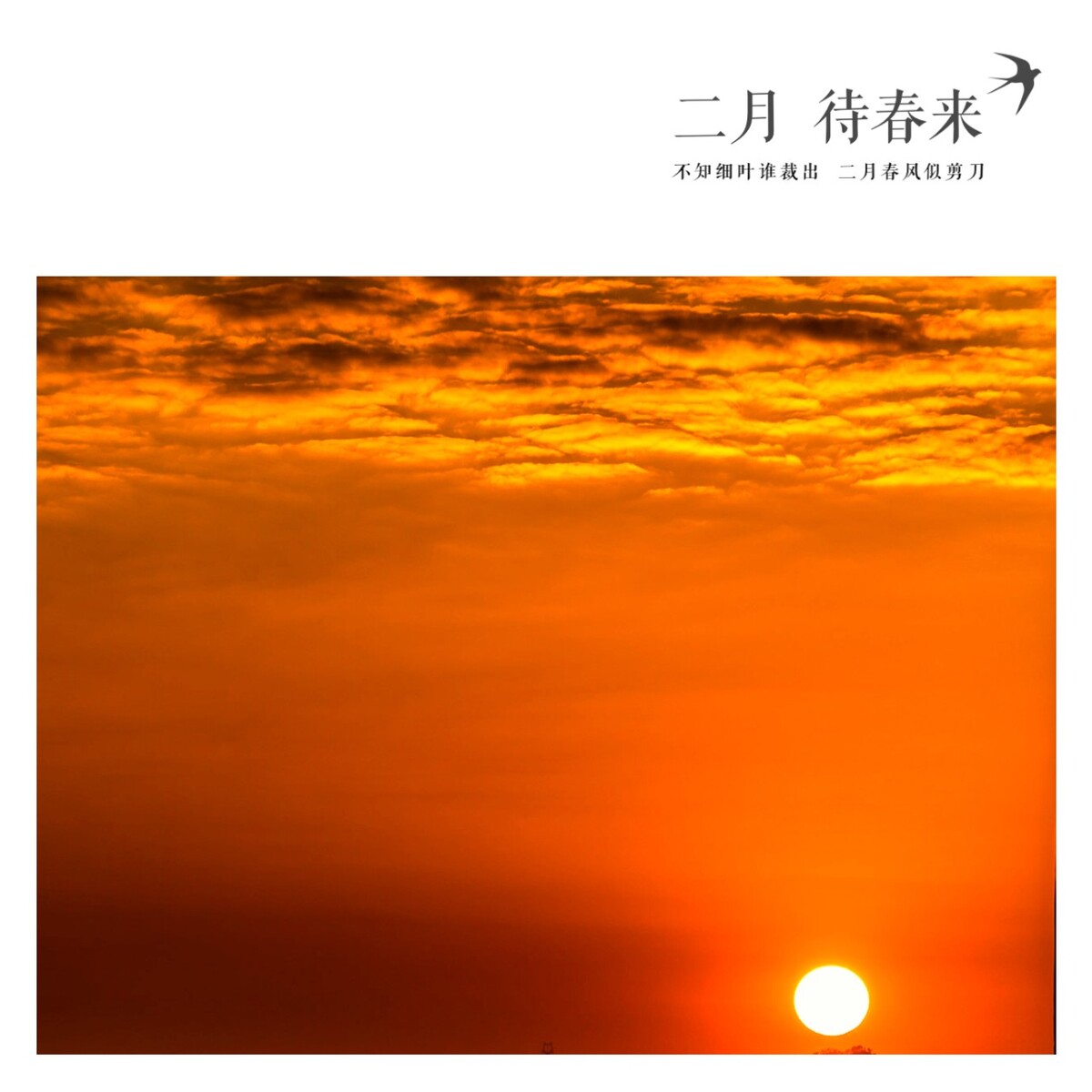 二月，待春来