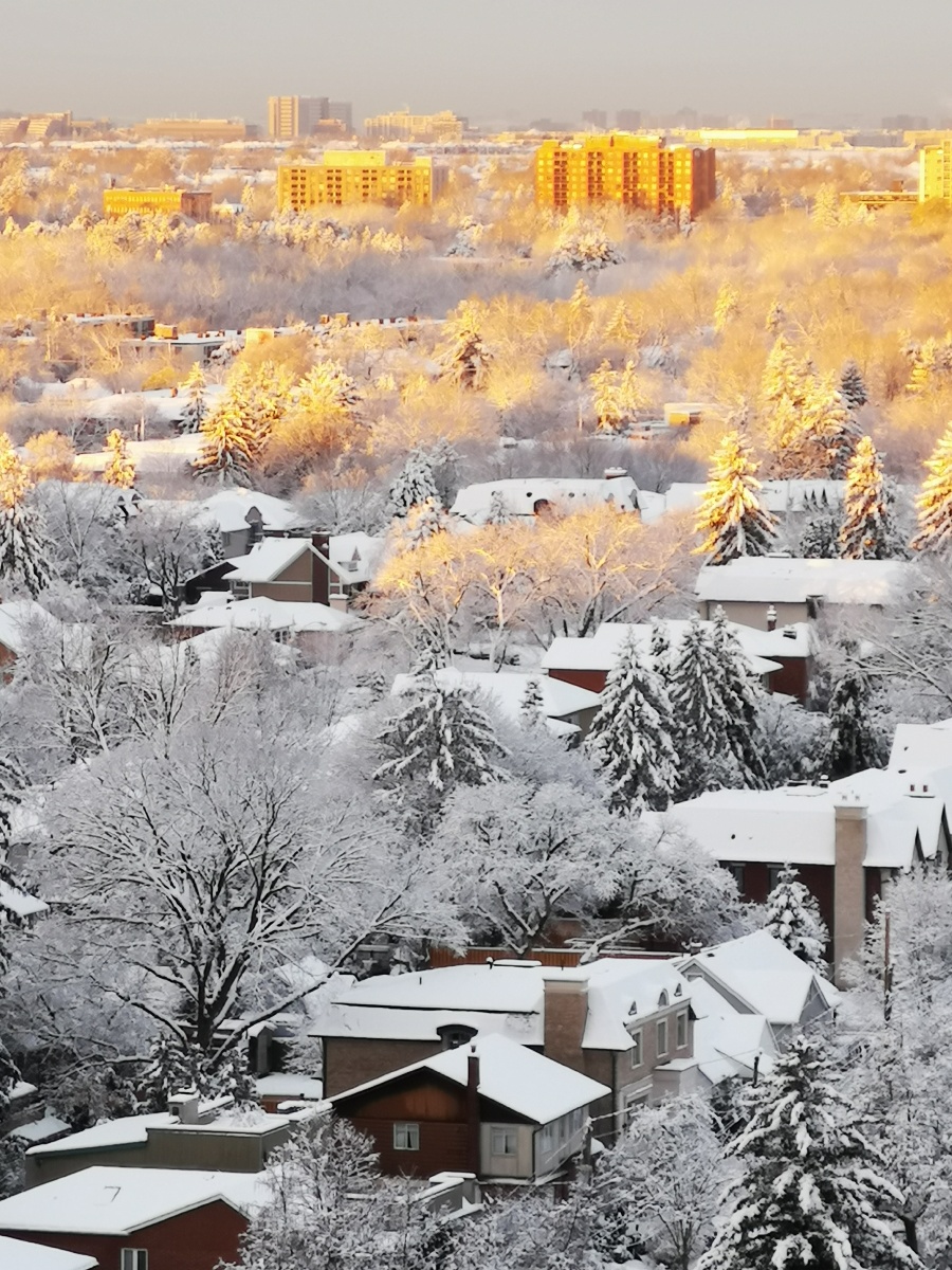 日照雪城一一多伦多