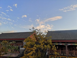 4647175