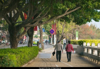 SAM_3571