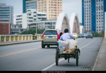 SAM_3496
