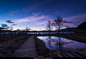 SAM_2782