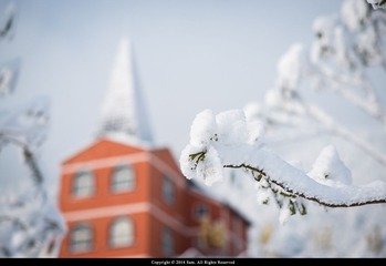 SAM_2117