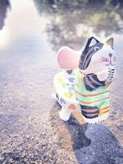 如果这也是一只猫~