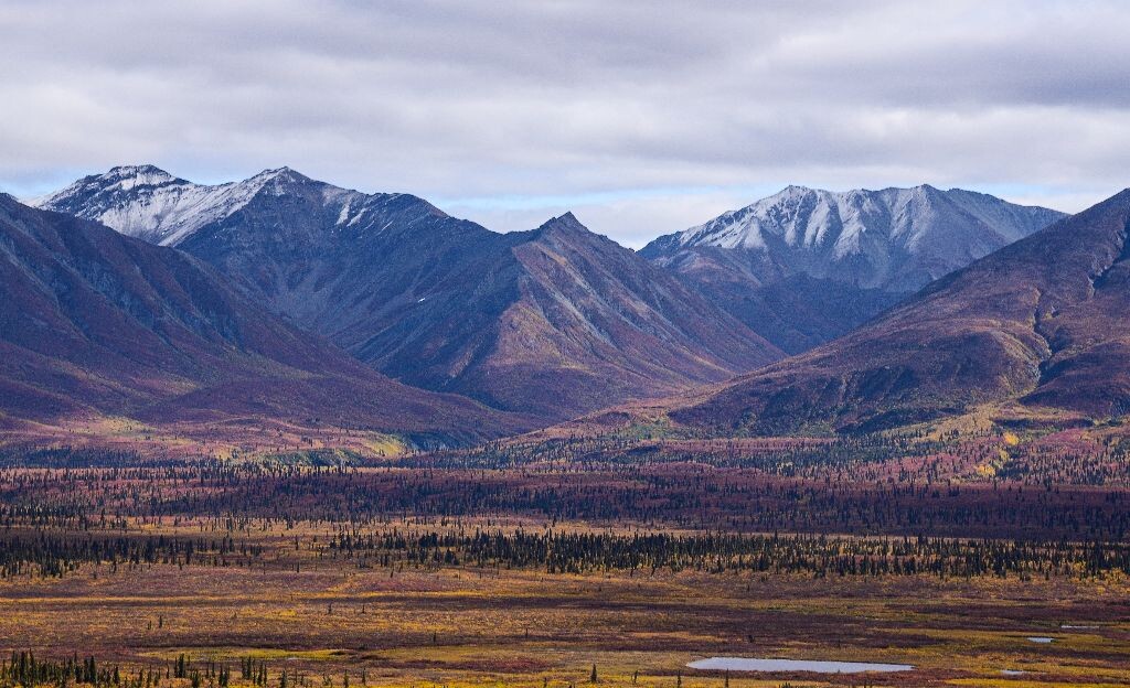 山