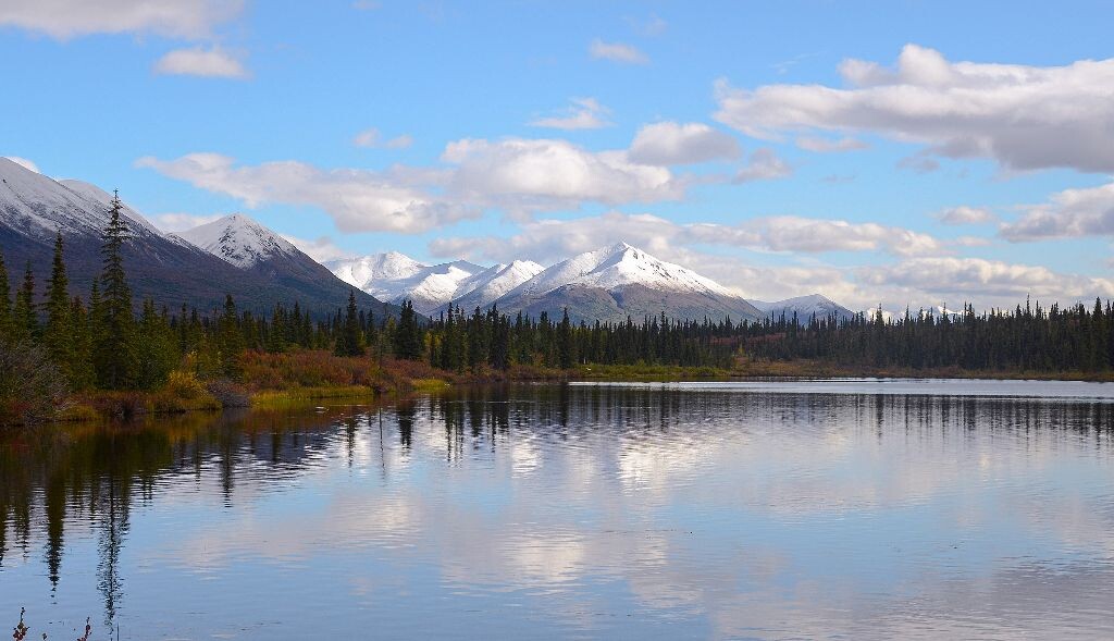 山