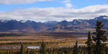 DSC_7971-1