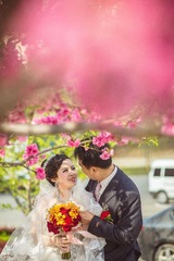 LIM_2939