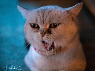 P1130652-编辑
