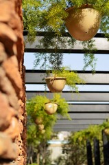 公园小景