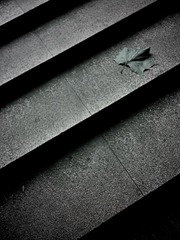 20131204_102605