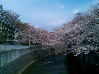 IMG_20120406_114214.jpg