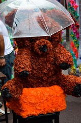 DSC_2946.jpg