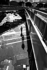 DSCF8384.jpg