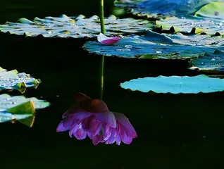 001