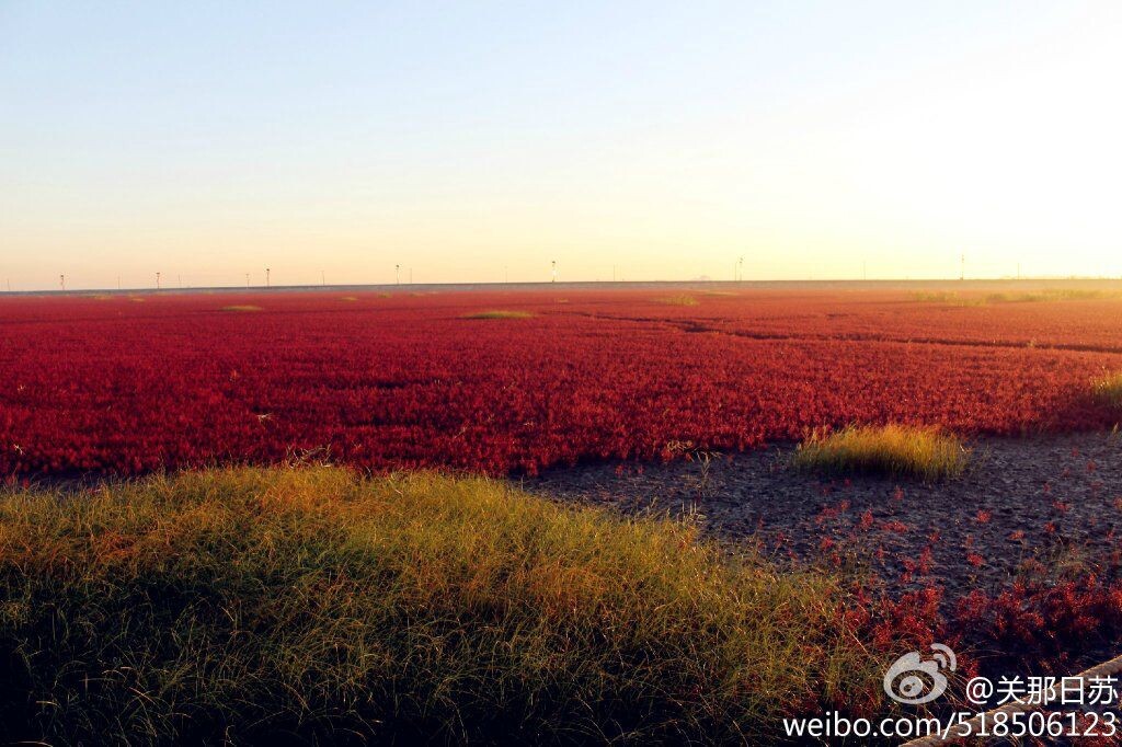 中国最美 辽宁·盘锦·红海滩