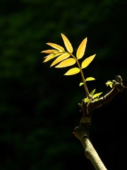 1408576