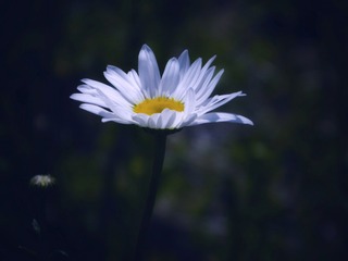 1073260