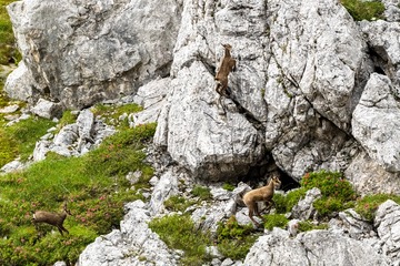 9000-IMG15961