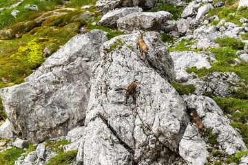 9000-IMG15968