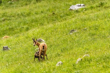 9000-IMG15985