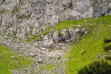 9000-IMG16008
