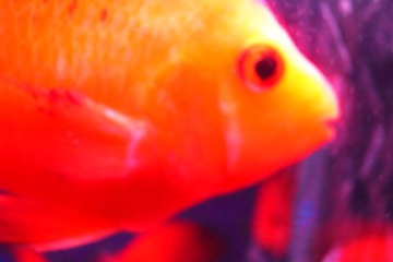 R0024305