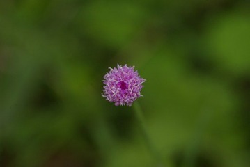 _IGP3778.JPG