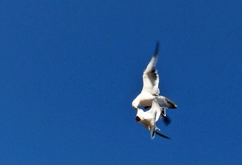 IMG_7073.jpg